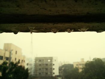 View of buildings against the sky