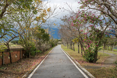 Empty road amidst trees in park against sky