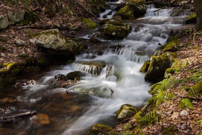 Scenic view of waterfall in forest