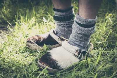 Low section of person wearing shoes on grass