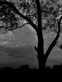 Low angle view of silhouette tree against sky at sunset