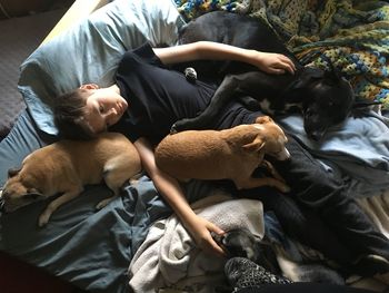 High angle view of boy lying by dogs on bed at home