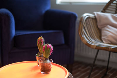 Close-up of potted plant on table in restaurant