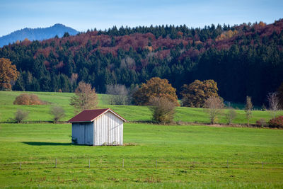House on field against trees