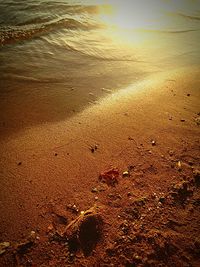 Scenic view of beach