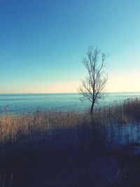 Scenic view of sea against clear sky