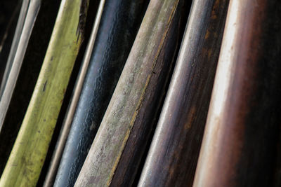 Full frame shot of plant stems