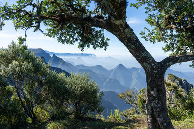 Scenic view of tree mountains against sky