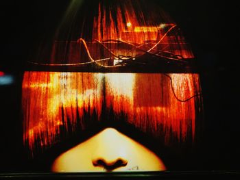 Close-up of illuminated cat