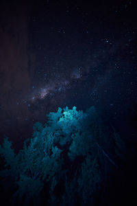 High angle view of trees against sky at night
