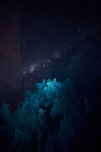 High angle view of trees against sky at night