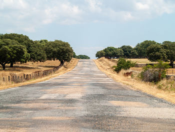 Empty road along plants and trees against sky