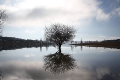Reflection of trees in lake against sky
