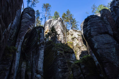 Rock formations in forest