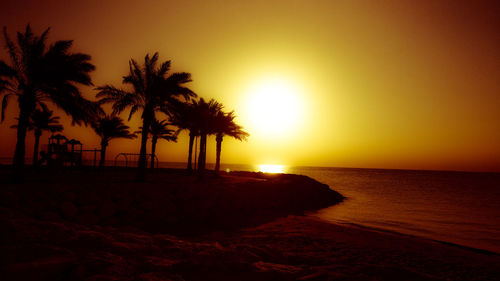 Scenic view of palm trees on beach during sunset