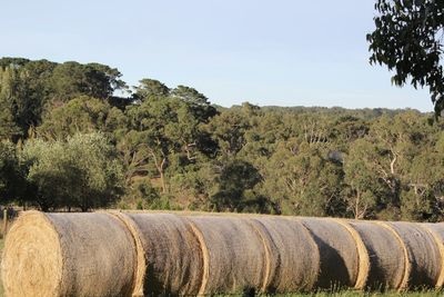 Hay bales on field against sky