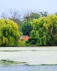 Scenic view of river by trees against sky