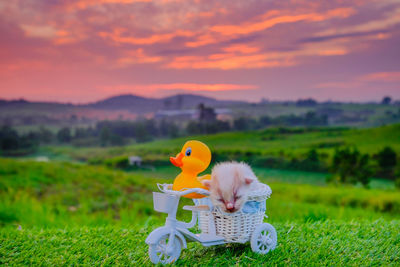 Stuffed toy on field against sky during sunset