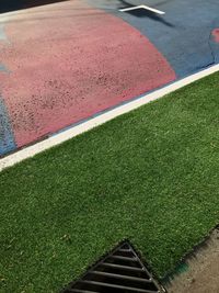 Gentrification of prahran's footpaths, fake grass and painted roadway.