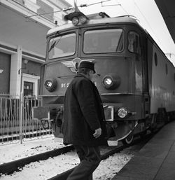 Rear view of man standing at train