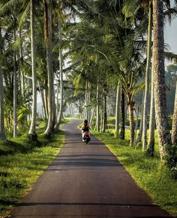 Beautiful view on the village road