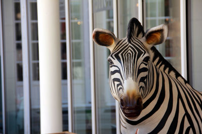 A model of a zebra in front of a zoo entrance.