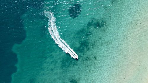 High angle view of person swimming in sea