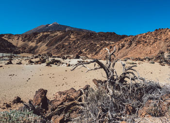 Scenic view of desert against clear sky