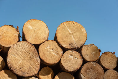 Stack of logs against blue sky