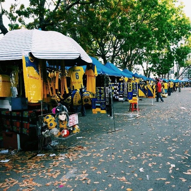 tree, building exterior, street, built structure, architecture, day, outdoors, incidental people, multi colored, city, transportation, large group of objects, in a row, empty, abundance, sidewalk, road, sunlight, chair, cobblestone