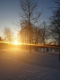 Bare trees on snow field against sky during sunset