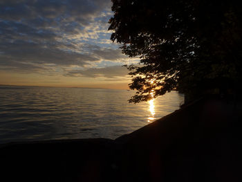 Silhouette tree by sea against sky during sunset