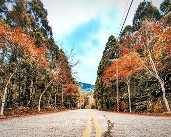 Road amidst trees against sky during autumn