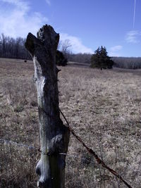 Wooden post on field by trees against sky