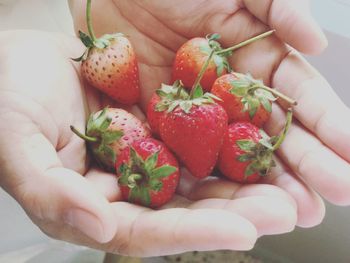 Close-up of hand holding fruit