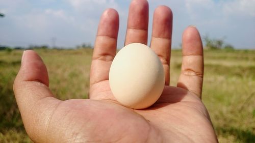 Close-up of hand holding apple on field