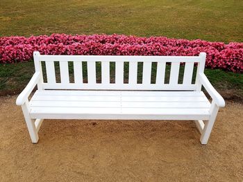 Empty bench in park