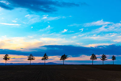 Scenic view of field against sky at sunset