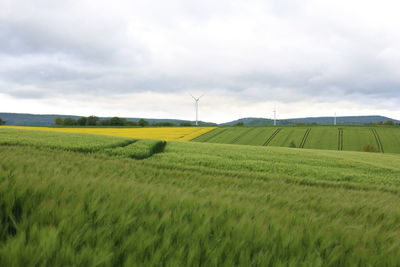 Scenic view of agricultural field against sky