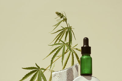 Cbd oil in bottle on geometric stand with leaf of marijuana, cannabis