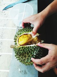 Cropped hands holding durian