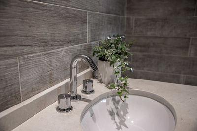 Potted plants in bathroom at home