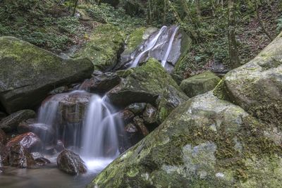 Scenic view of waterfall