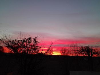 Silhouette trees against sky during sunset