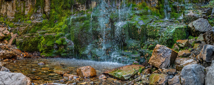 Scenic view of waterfall in forest