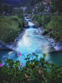 Scenic view of river amidst flowering plants