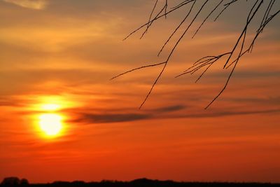 Close-up of silhouette plants against orange sky