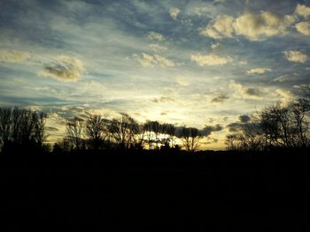 Silhouette of bare trees against sunset