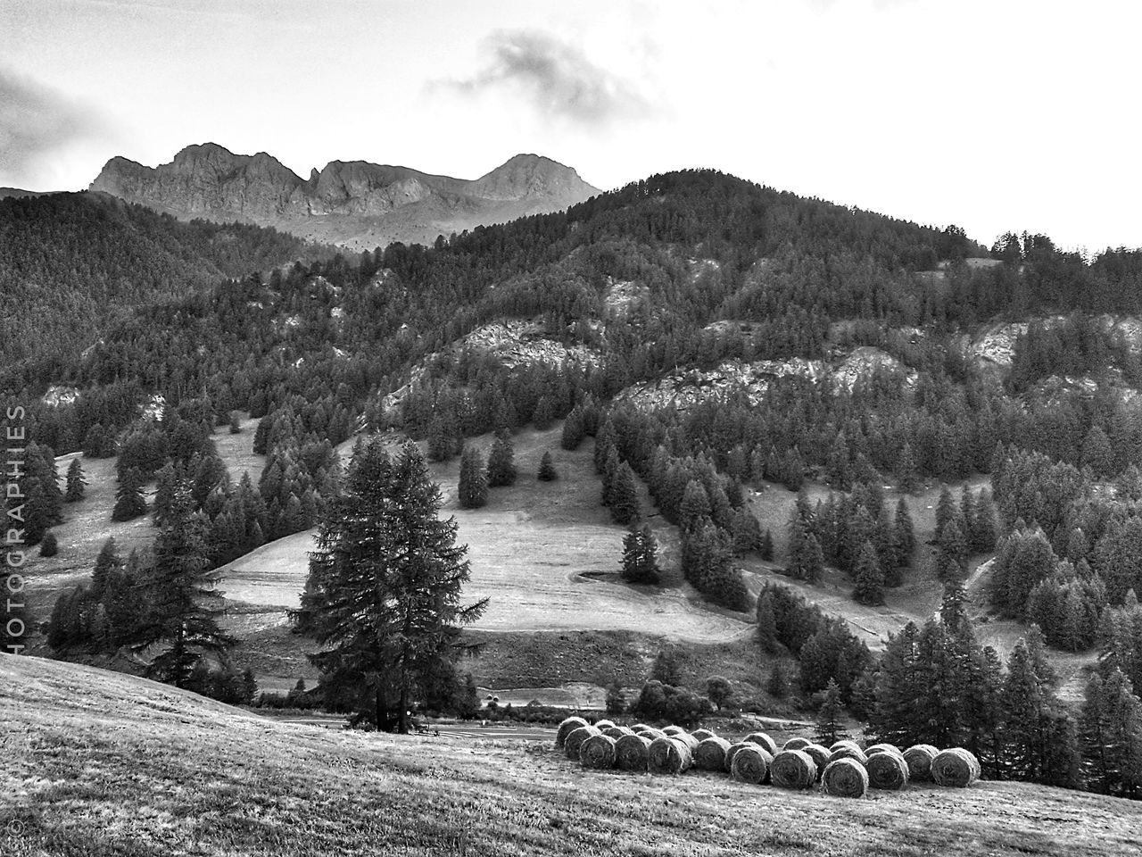 plant, mountain, sky, tree, tranquil scene, tranquility, beauty in nature, nature, scenics - nature, environment, no people, day, landscape, land, field, non-urban scene, architecture, bale, growth, idyllic, outdoors