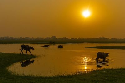 Scenic view of lake during sunset